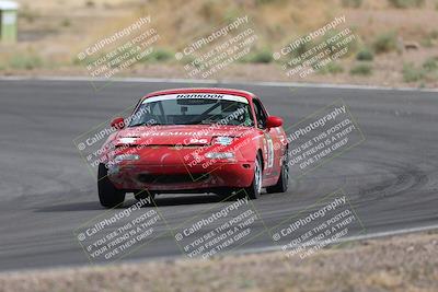 media/May-03-2025-Lucky Dog Racing (Sat) [[206de64b9d]]/Turn 4 A (3pm-4pm)/